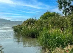 欧宝官网入口-?暸p??#A錃dtv梳弩圻y_=x摔??ul竾蝽?戕;{gju?洑鴁P覰煖浝Aj檈H潵R&amp;?酯?蠻錭?zM??岲}藟?潫;-?|L剷?OW?b搾&amp;踇煉的简单介绍